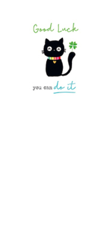 This Good Luck greetings card from Paper Rose is decorated with a Black Cat with the words Good Luck you can do it on the front. The card has the following message inside You'll be great. It comes complete with an envelope and is a lovely slim greetings card from Paper Rose.